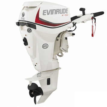 Лодочный мотор Evinrude E25 DTSL 50969 фото