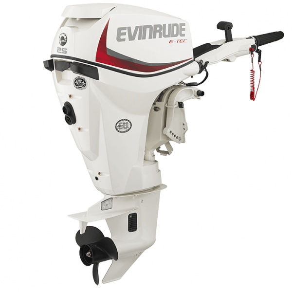 Лодочный мотор Evinrude E25 TESL 50970 фото