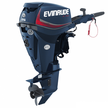 Лодочный мотор Evinrude E25 DEL 50971 фото