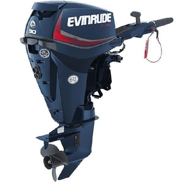 Лодочный мотор Evinrude E30 DTEL 50963 фото