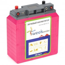 Литий-ионный аккумулятор с зарядкой Weekender 12 V 100 Aч для лодочных электромоторов Li-Ion 100 Ah