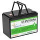 Литий-ферумный аккумулятор Weekender 100 Ah 12 V LiFePO4 Lithium iron phosphate с экраном