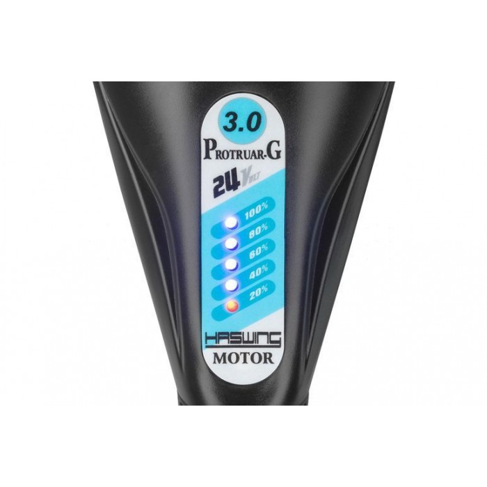 Лодочный электромотор Haswing Protruar 3 л.с. 110 lbs 12 V