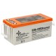 Гелевый аккумулятор Weekender 12 В 200 Ач с дисплеем OT200-12(GEL)/DS