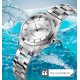 Skmei 1620SISI Silver-Silver