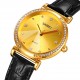 Skmei 2072GD Gold SALE