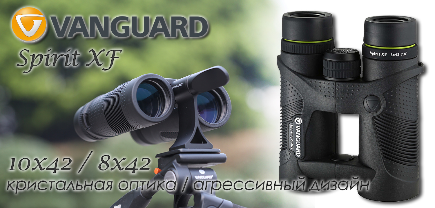 Вангард Спиріт XF 8x42 WP